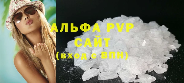 PSILOCYBIN Ладушкин