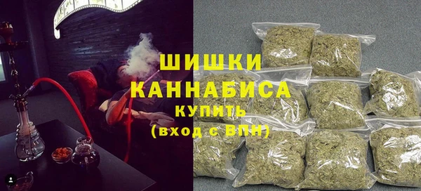 PSILOCYBIN Ладушкин
