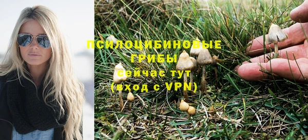 PSILOCYBIN Ладушкин