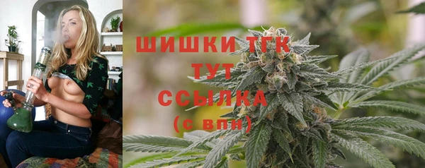 PSILOCYBIN Ладушкин