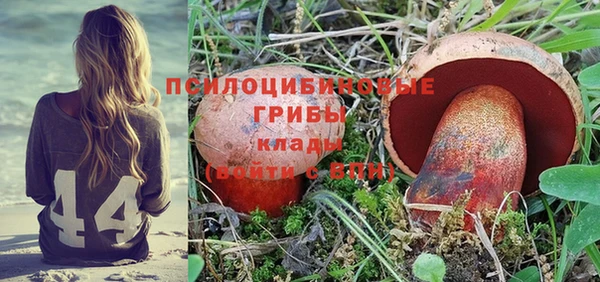 PSILOCYBIN Ладушкин