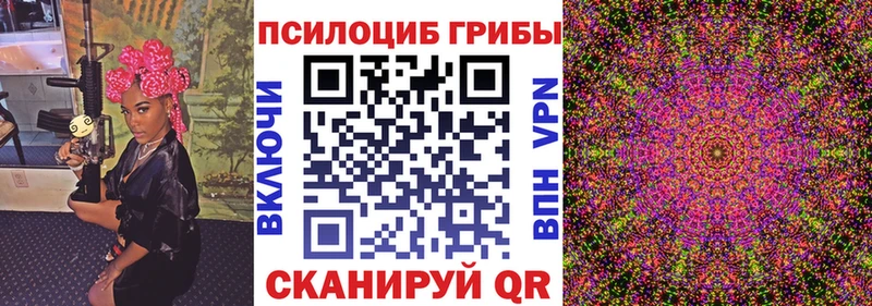 Купить  Павловская  Псилоцибиновые грибы Psilocybine cubensis 